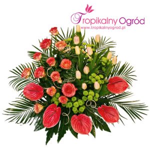 Poezja Kolorów (KOD 104)