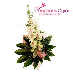 Bukiet Szczęścia (KOD 106)