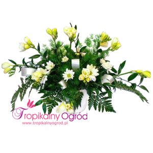 Pachnące Frezje (KOD 112)