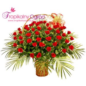 Kosz z pięćdziesięciu Róż (KOD 176)