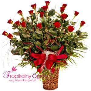 Kosz z 20 Róż (KOD 177)