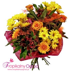 Miłego Dnia (KOD 115)