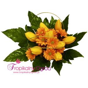 Słodkie Spojrzenie (KOD 116)