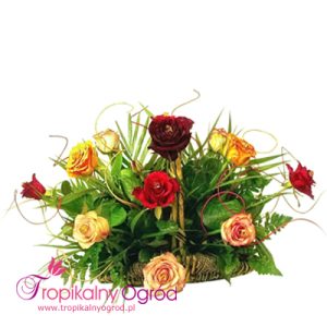 Kolorowe Szaleństwo (KOD 124)