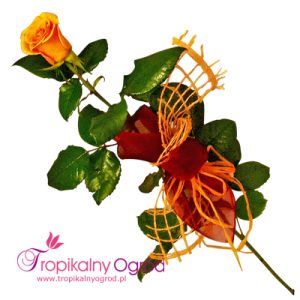 Elegancka  Róża (KOD 129)