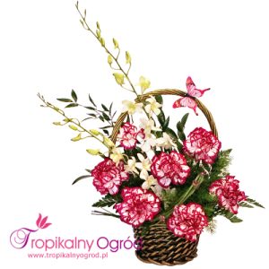 Różowa Mgiełka (KOD 131)