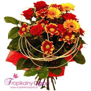 Dużo Szczęścia (KOD 134)