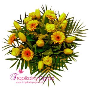 Dla Ciebie (KOD 142)