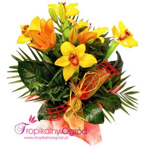 Piękny Wschód Słońca (KOD 143)