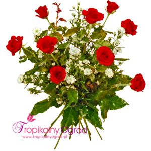 Bukiet z Dziewięciu Róż (KOD 145)