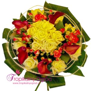 Spełnienia Marzeń (KOD 157)