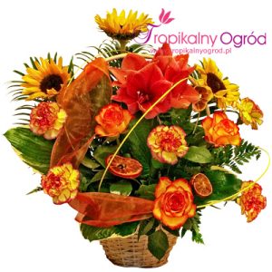 Kosz "Promyk Słońca" (KOD 164)