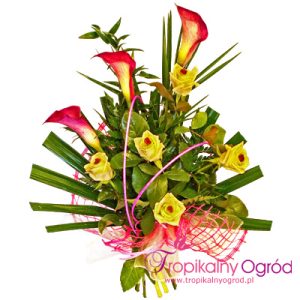 Chwilo Trwaj (KOD 165)