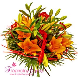 Kwiaty Pomarańczowe (KOD 166)