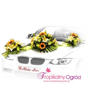 Dekoracja na Samochód