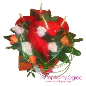 Kwiaty "Radosny dzień" (KOD 172)