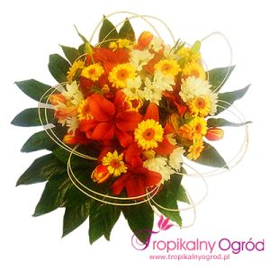 Dziękuje Ci Za Wszystko (KOD 173)