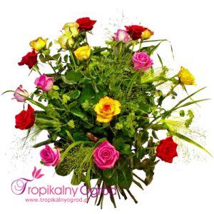 Osiemnaście Kolorowych Róż (KOD 175)